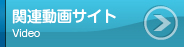 関連動画サイト